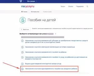Как подать заявление на детское пособие через портал госуслуг
