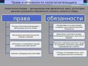 Права и обязанности налогоплательщиков