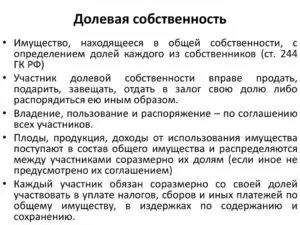 Долевая собственность на квартиру права и обязанности