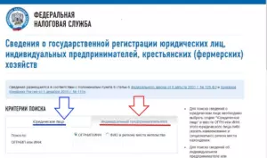 Поиск по ИНН индивидуального предпринимателя