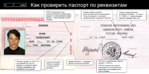 Проверка выдачи паспорта рф