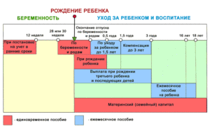 В течение какого времени выплачивается пособие по родам в