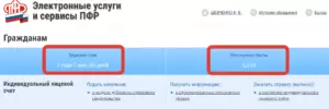 Как проверить трудовую деятельность по снилс
